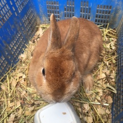 これからよろしくね❤️