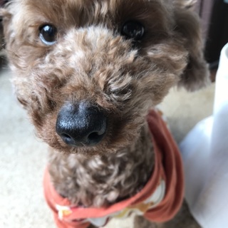 元気いっぱい、愛嬌がある子です♡