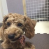 うめぇー
