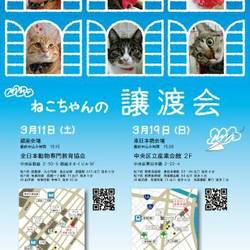 ねこざんまい譲渡会in東日本橋
