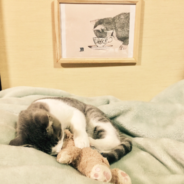 大好きな熊さんとねむねむ。