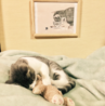大好きな熊さんとねむねむ。