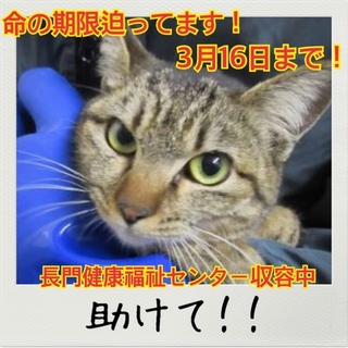 おうちが決まりました！