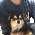 14日までにそらの里親になってください