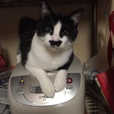 朧の今一番の場所！　　ご飯よそって良いですか～？