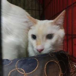 ジョン　家族ができました。