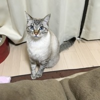 まろん