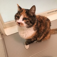 みゅう