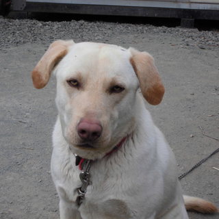 応募ありがとうございました。