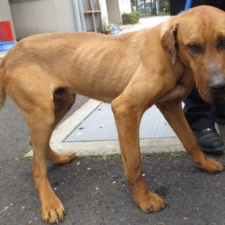 良いご縁が繋がりました♬