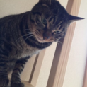 抱っこ大好き