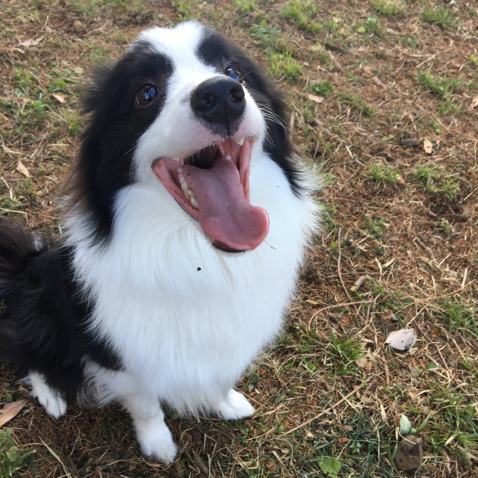 ボンドのカバー写真