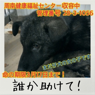 おうちが決まりました！