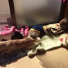 日向ぼっこ ☺︎❤︎
