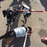 イケメン ダルメシアンのダルビッシュ君 サムネイル4