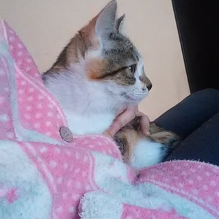 山奥で頑張ってました！[トライアルに入ります]