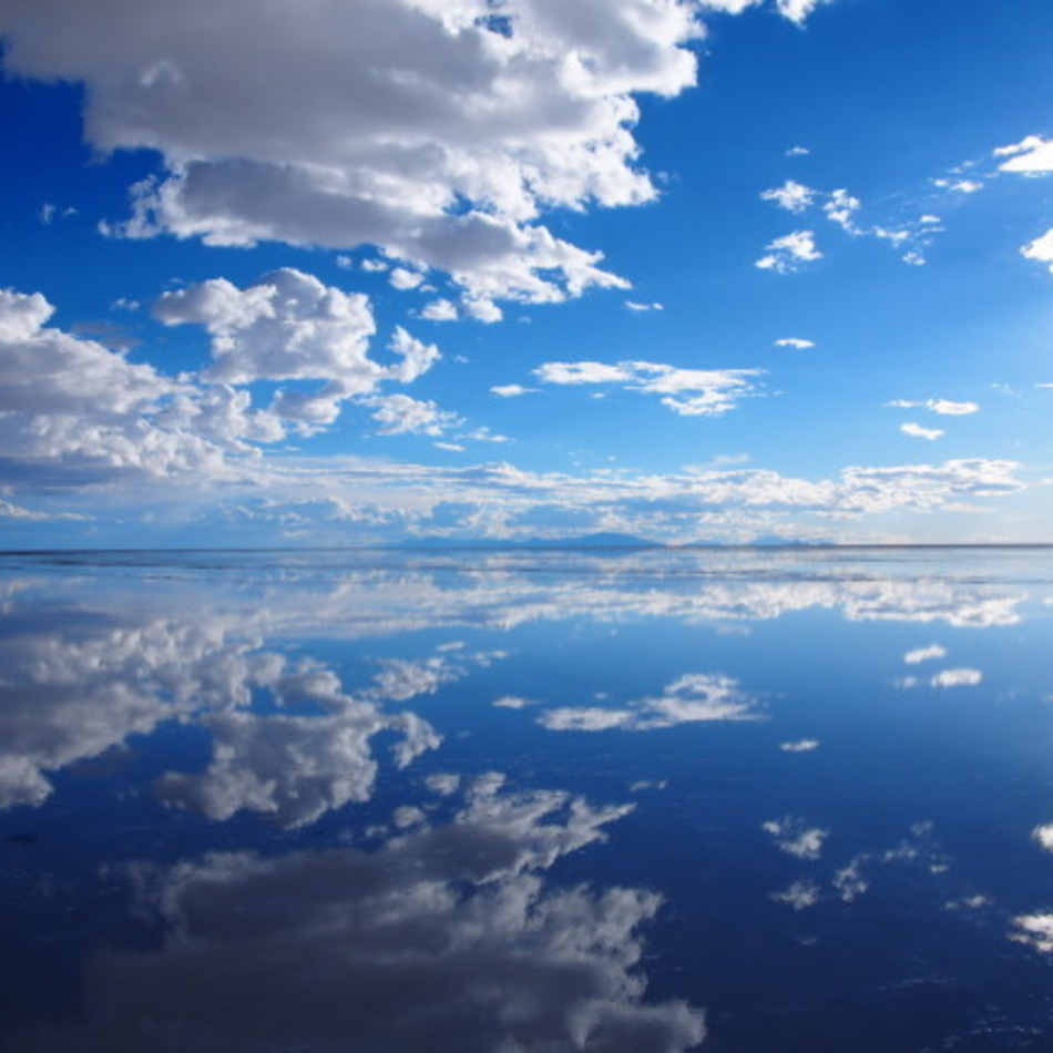 クロのカバー写真