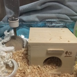おうち以外ですごく無防備に寝ます