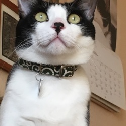 マーニお風呂工事にびびる