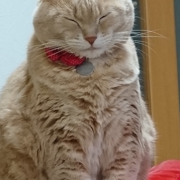 なんか太って見える～