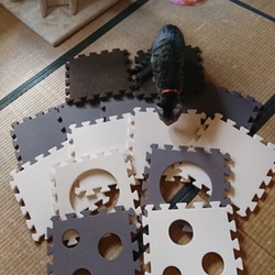 「雅(みやび)さん、ご機嫌ですね」サムネイル1