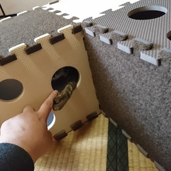 「雅(みやび)さん、ご機嫌ですね」サムネイル2