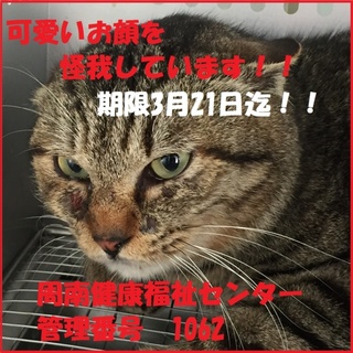 緊急です！収容された子に時間はありません！