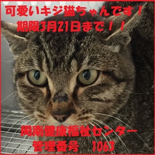 緊急です！収容された子に時間はありません！