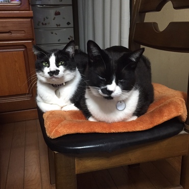 すみませんが・・・座らせて頂けますか？