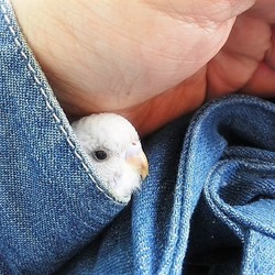 「き～ちゃんのお気に入りの場所」サムネイル2