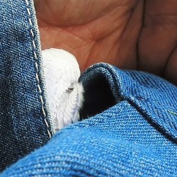 「き～ちゃんのお気に入りの場所」サムネイル3