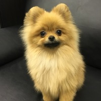 うる