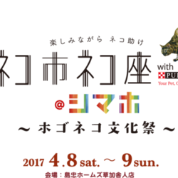 [参加保護猫 一般募集開始] ホゴネコ譲渡会in島忠ホームズ（ネコ市ネコ座）