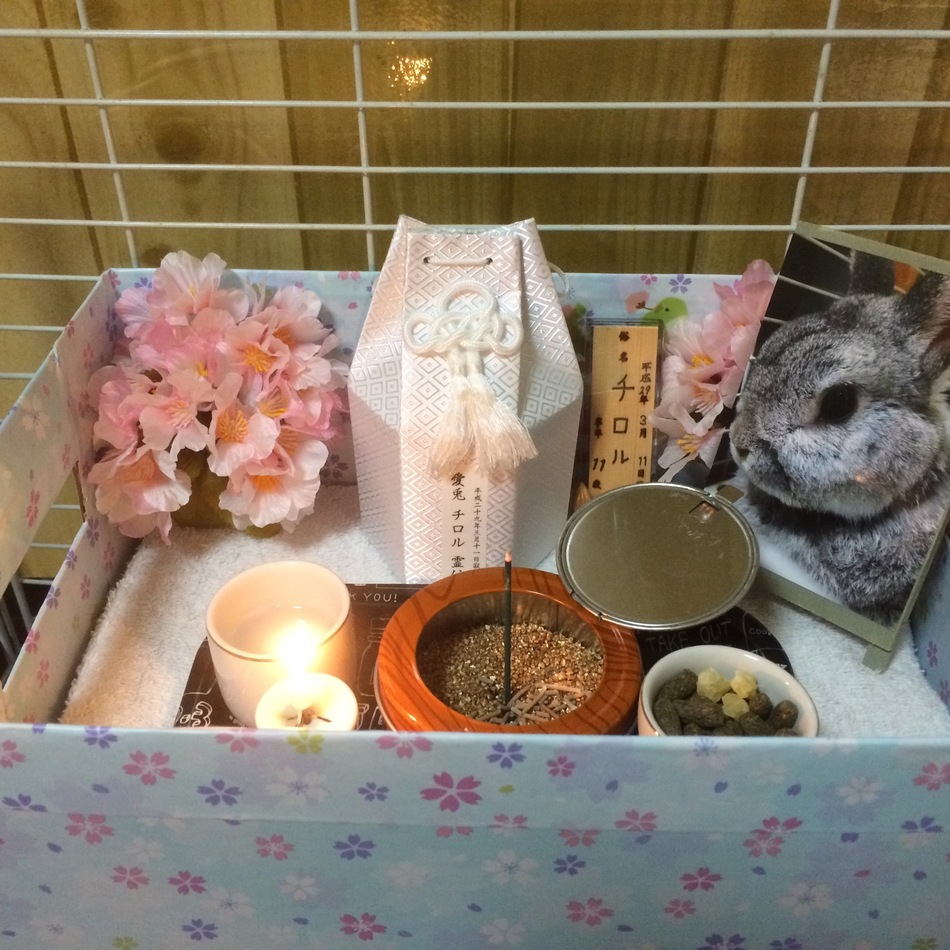 チロルのカバー写真