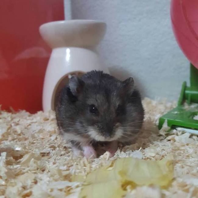 Tsubasa27のカバー写真