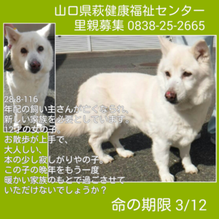 家族が出来ました！