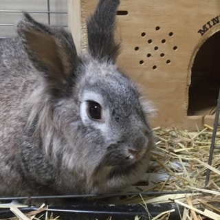 有難うございました！