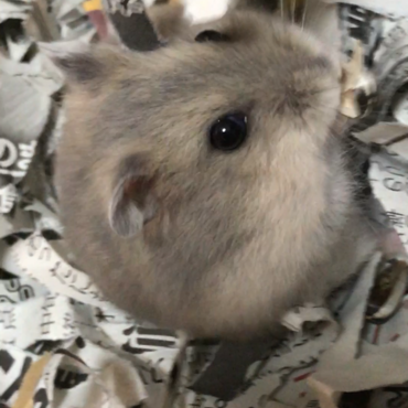 お引っ越し初日から、手から受け取って食べてくれます(^^)
