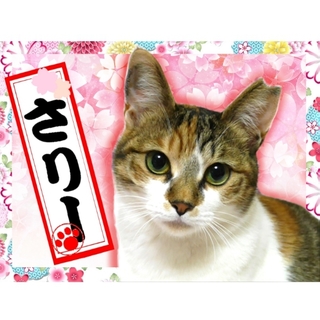 大きなお目々♥推定2歳