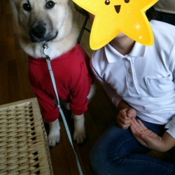 「お古」サムネイル1