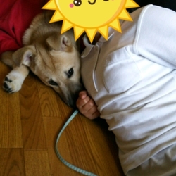 「お古」サムネイル2