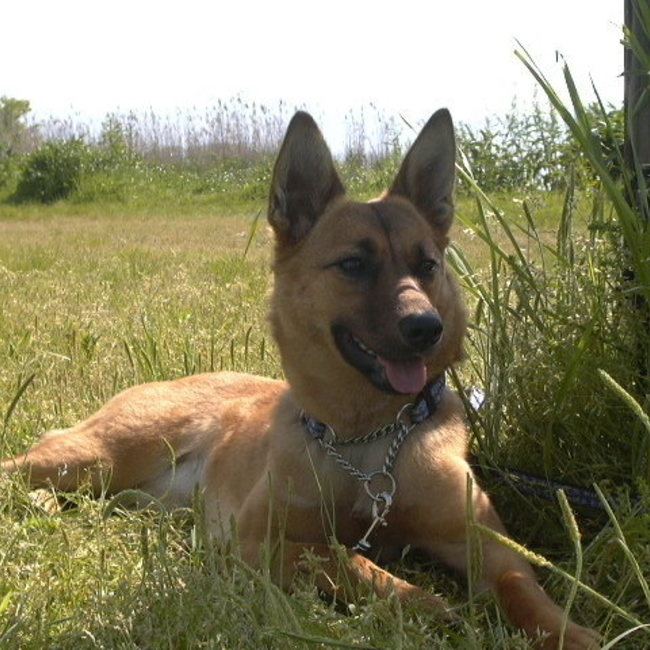 びっき３３のカバー写真