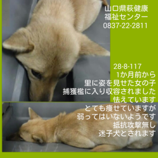 家族が出来ました‼