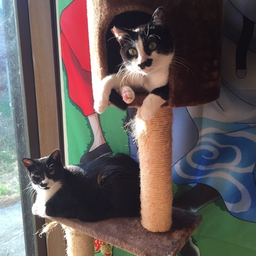 幸せな一日の始まり♪今日という日に感謝です☆