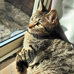 朝のまったり詔太郎くんと五郎さん