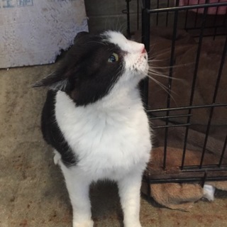 一番収容が長くなっています！ お願いします！