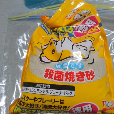昨日からこちらの砂。最初は、怪訝そうにしていたけど、暫くして使い始めたので、ほっとした。(^o^;) 極めの細かい焼き砂です。