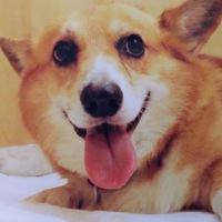 ハグ