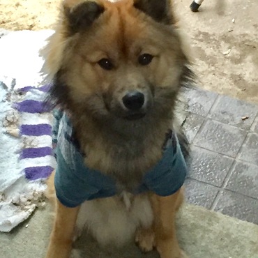 ぴちぴち