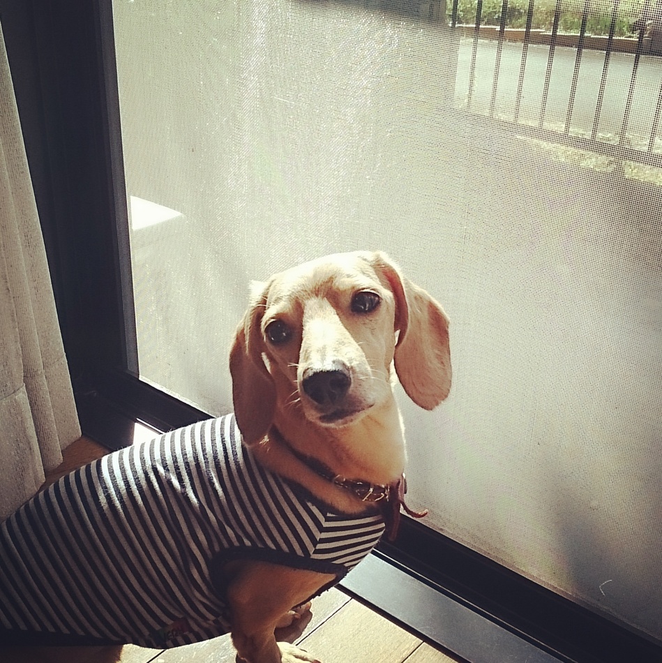 ボンドのカバー写真